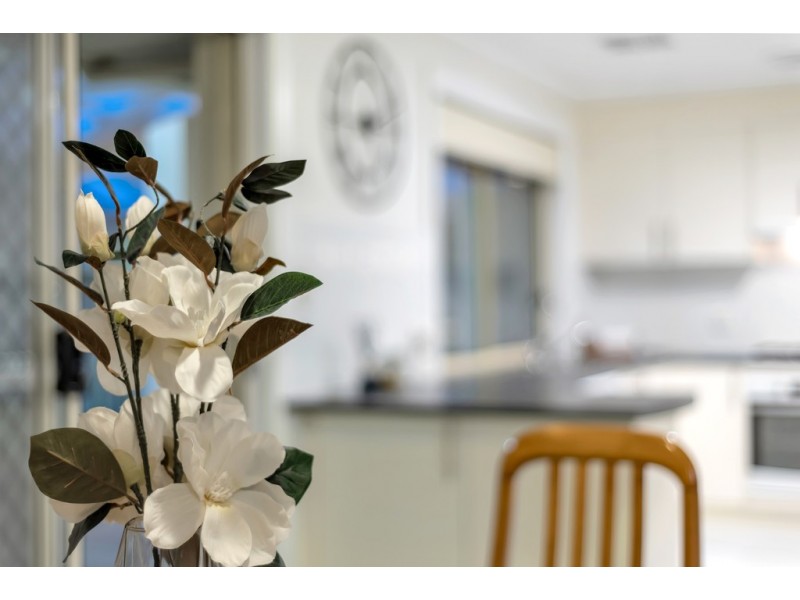 94 Black Road, Flagstaff Hill SA 5159