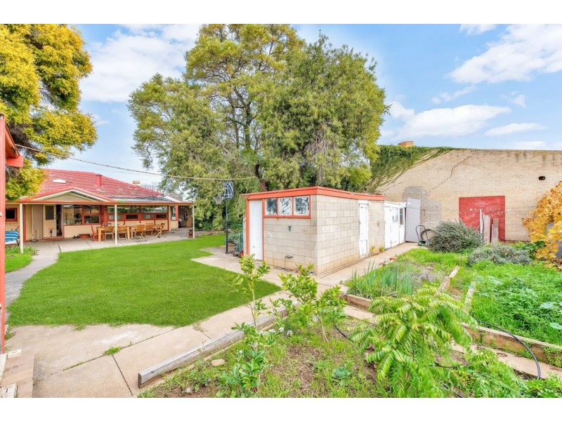 3 Dudley Avenue, North Plympton SA 5037