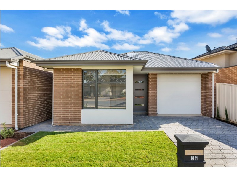 56 Johnstone Road, Oaklands Park SA 5046