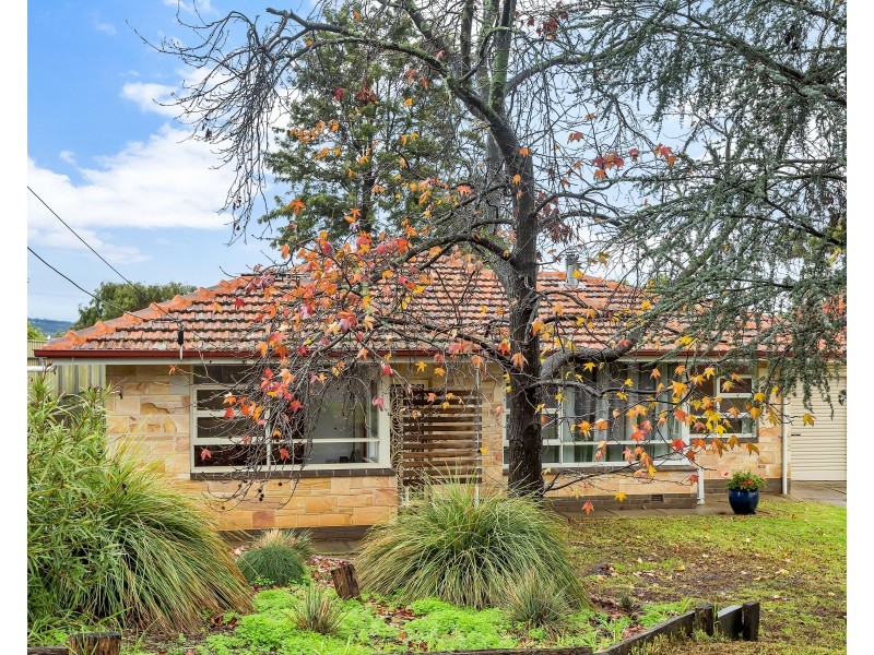 20 Jarrad Road, Happy Valley SA 5159