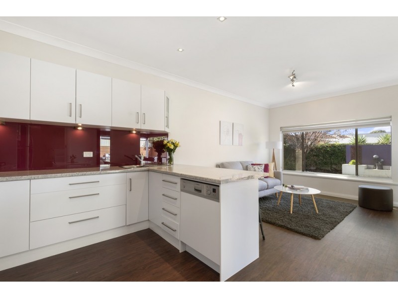 7 Ballara Avenue, Warradale SA 5046