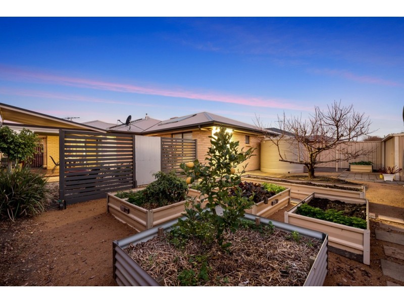 19 Kipsy Street, Aldinga Beach SA 5173