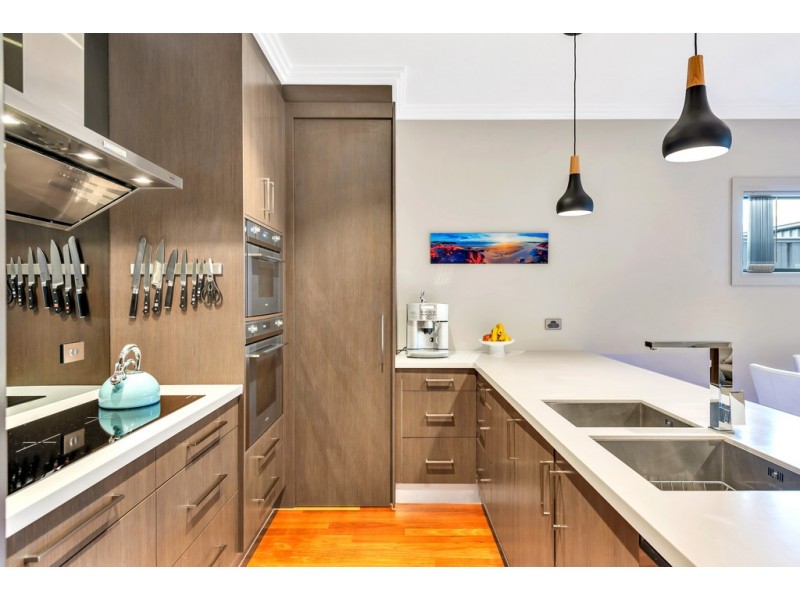 21 Park Terrace, Plympton Park SA 5038