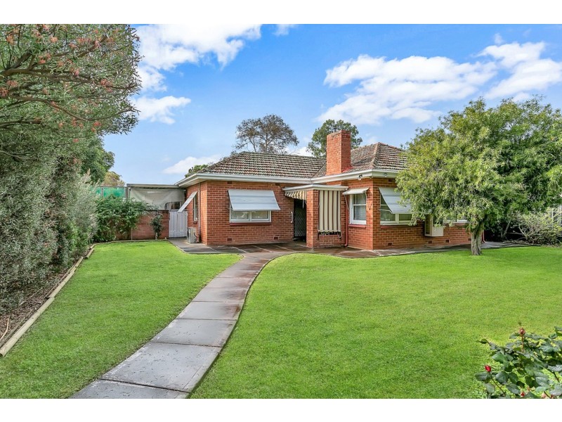 3 Tait Avenue, Marion SA 5043