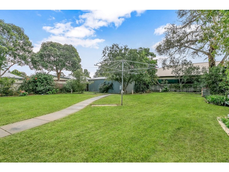 3 Tait Avenue, Marion SA 5043