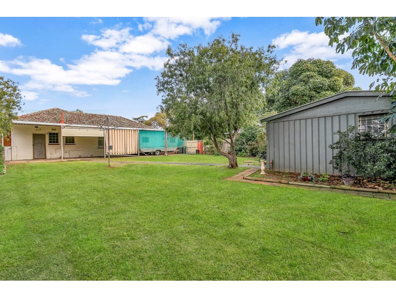 3 Tait Avenue, Marion SA 5043