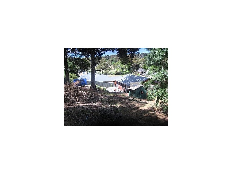 438 Main Road, Coromandel Valley SA 5051