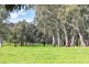 2 Gundowringa Avenue, Happy Valley SA 5159
