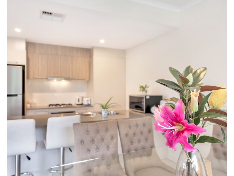 15 Stroma Road, Marion SA 5043