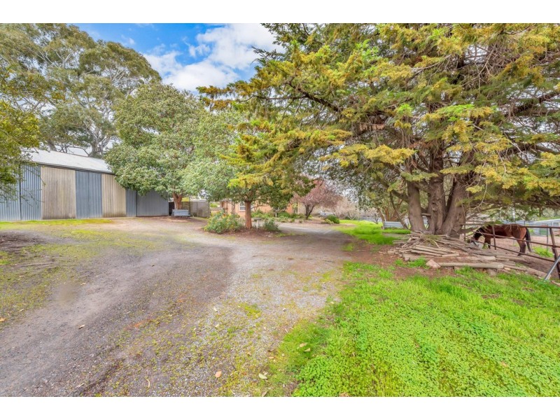 7 Jordan Avenue, Happy Valley SA 5159
