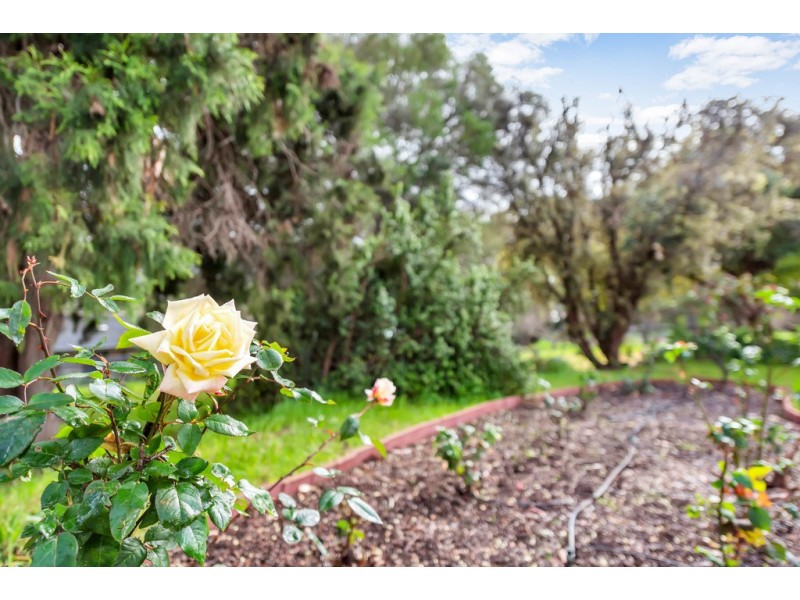 7 Jordan Avenue, Happy Valley SA 5159