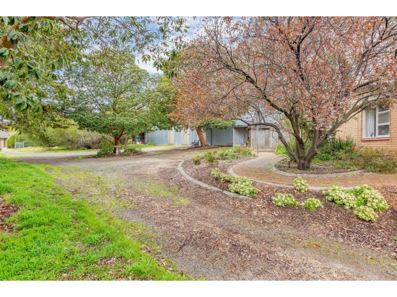 7 Jordan Avenue, Happy Valley SA 5159