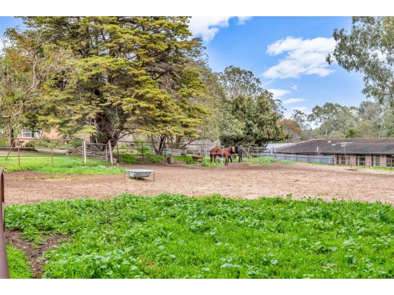 7 Jordan Avenue, Happy Valley SA 5159