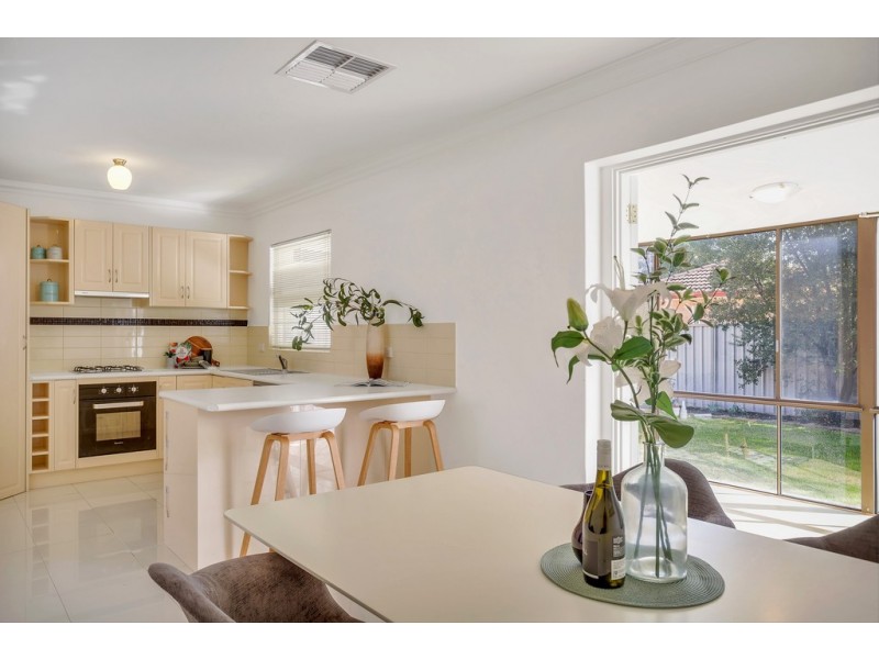 21 Norfolk Road, Marion SA 5043