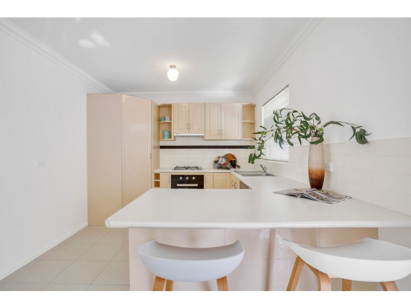 21 Norfolk Road, Marion SA 5043