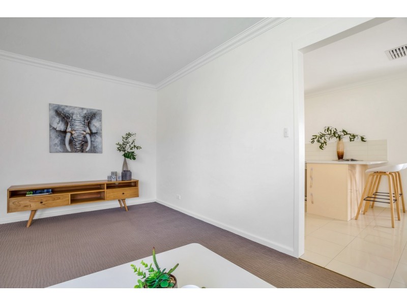 21 Norfolk Road, Marion SA 5043