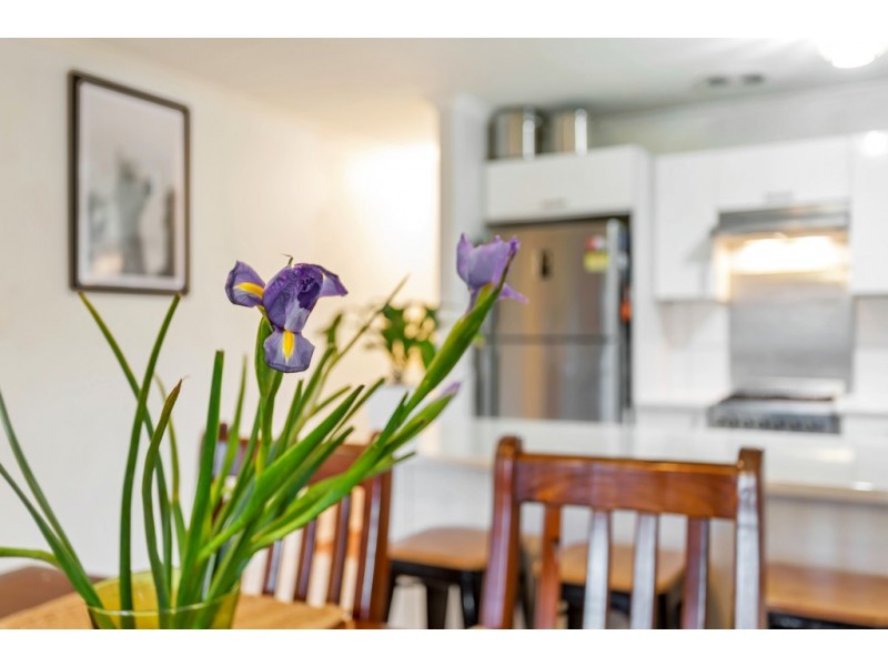 3 Ryan Close, Noarlunga Downs SA 5168