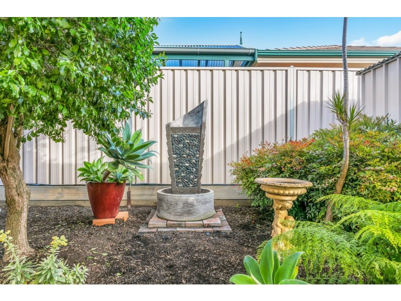 25 Burgundy Way, Glengowrie SA 5044