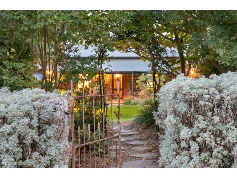 11 Jarred Street, Mclaren Vale SA 5171