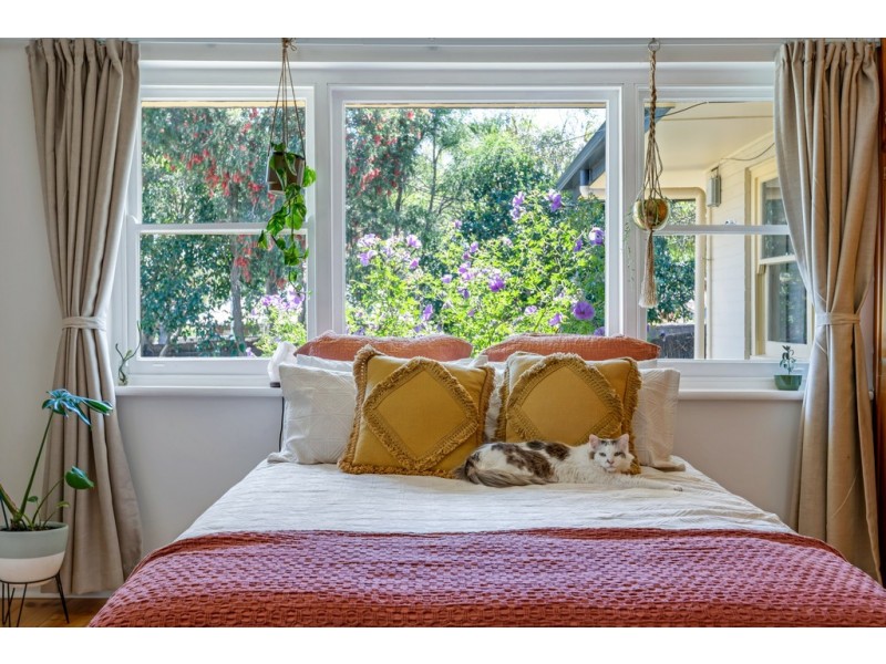 86 Springbank Road, Panorama SA 5041