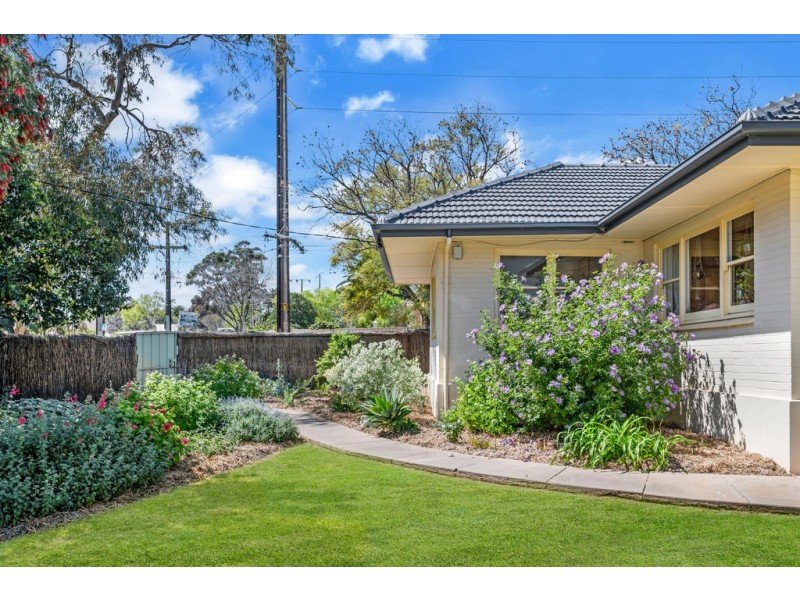 86 Springbank Road, Panorama SA 5041