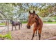 7 Jordan Avenue, Happy Valley SA 5159