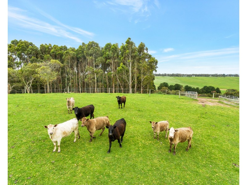 524 Louds Hill Road, Pages Flat SA 5172