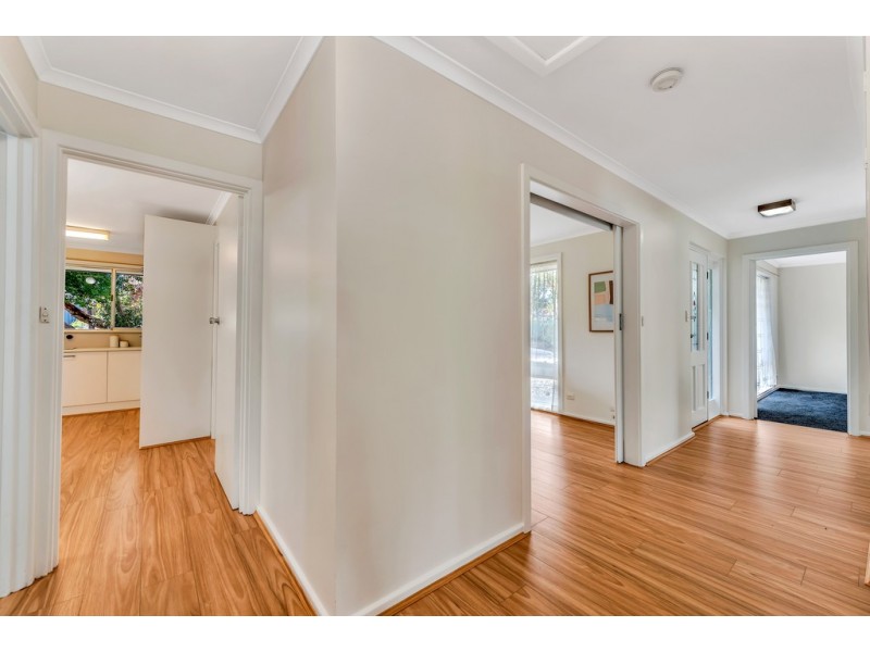 12 Roxanne Street, Happy Valley SA 5159