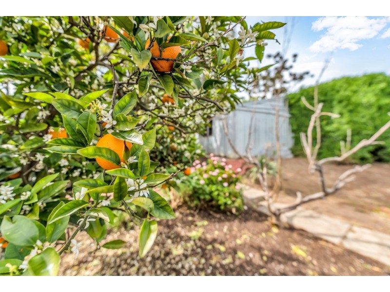 12 Roxanne Street, Happy Valley SA 5159