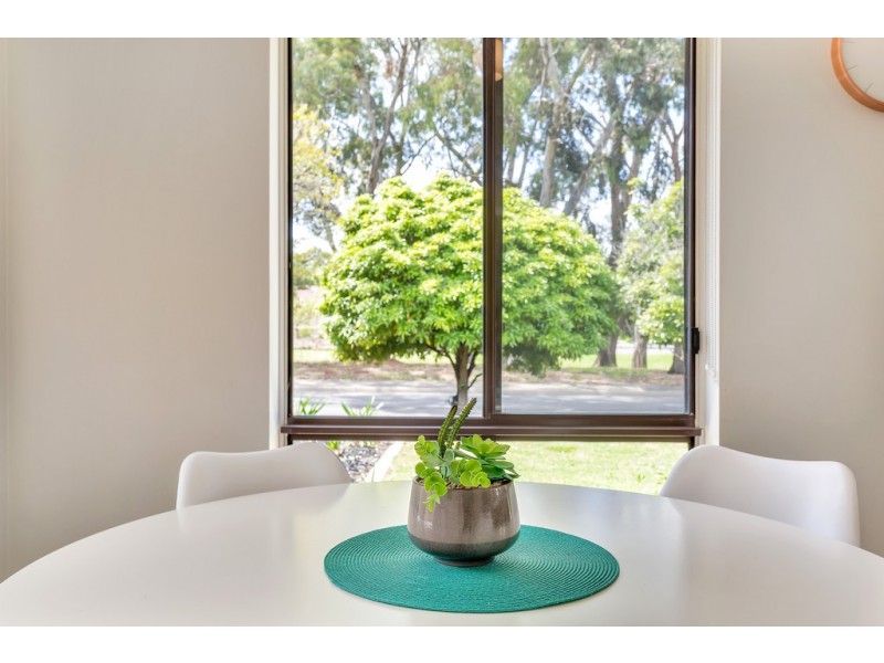 31 Nash Crescent, Morphett Vale SA 5162