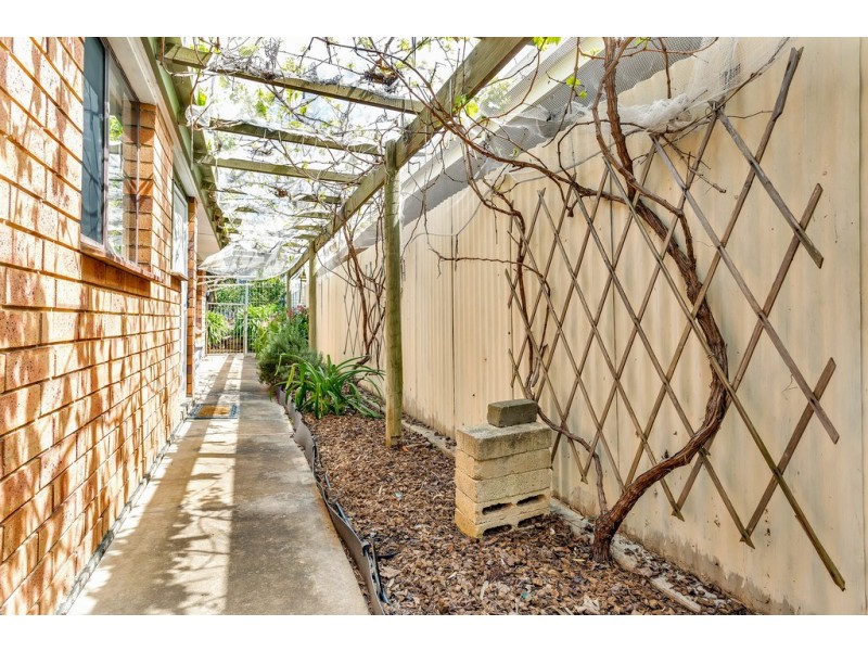 31 Nash Crescent, Morphett Vale SA 5162