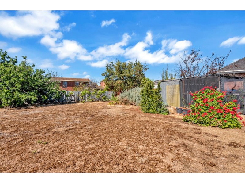 18 Barry Road, Oaklands Park SA 5046