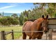 18 Martin Road, Yankalilla SA 5203
