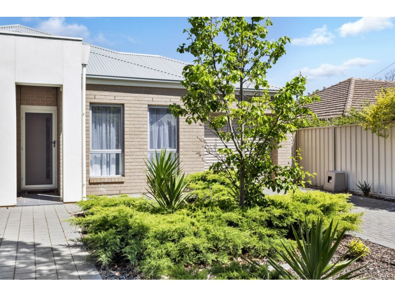 56 York Avenue, Clovelly Park SA 5042
