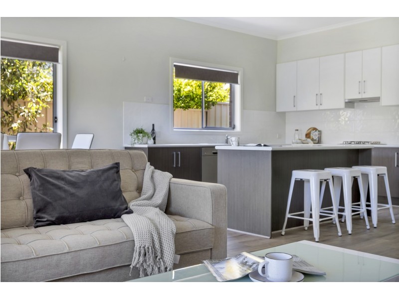 56 York Avenue, Clovelly Park SA 5042