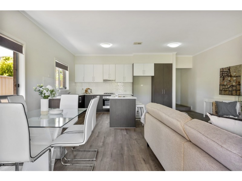 56 York Avenue, Clovelly Park SA 5042
