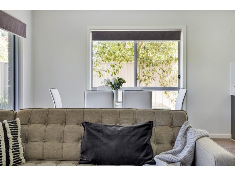 56 York Avenue, Clovelly Park SA 5042