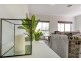 56 York Avenue, Clovelly Park SA 5042