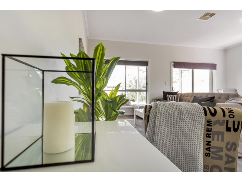 56 York Avenue, Clovelly Park SA 5042