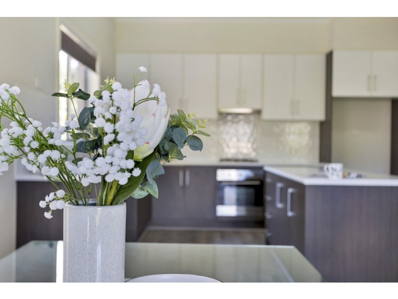 56 York Avenue, Clovelly Park SA 5042