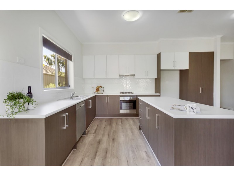 56 York Avenue, Clovelly Park SA 5042