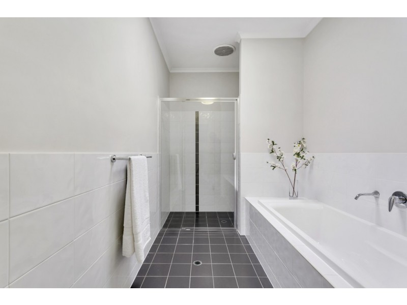 56 York Avenue, Clovelly Park SA 5042