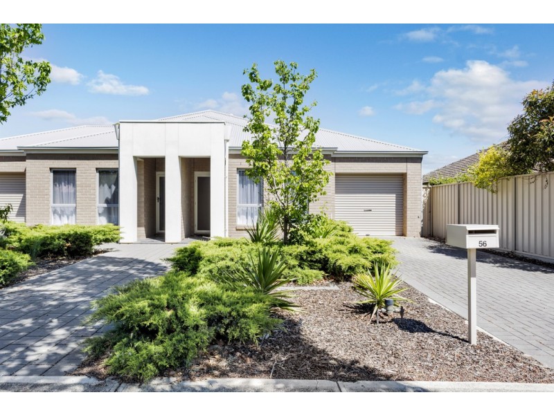 56 York Avenue, Clovelly Park SA 5042