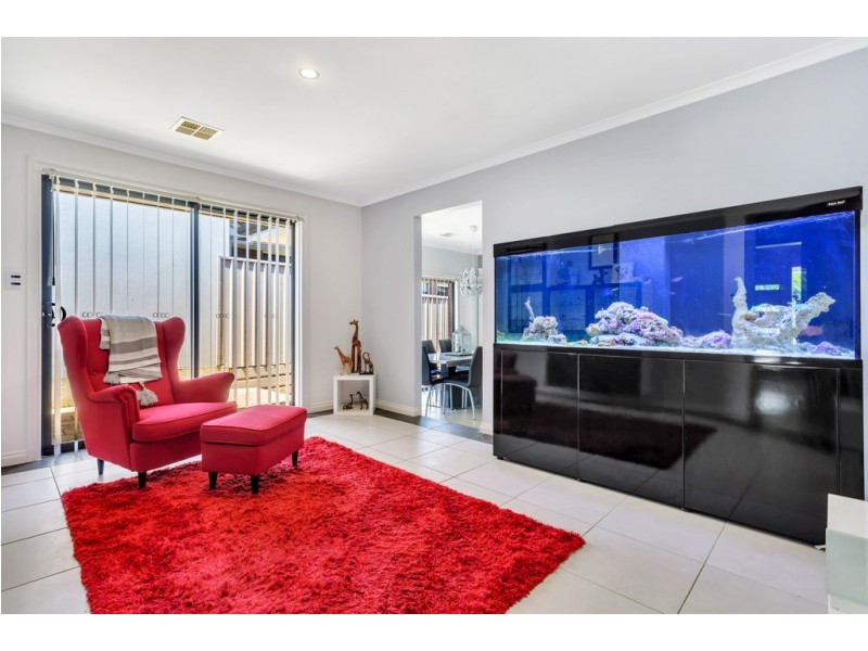 52 Smugglers Drive, Seaford Rise SA 5169