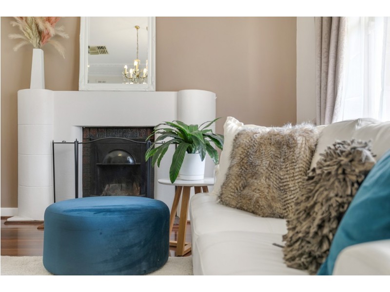 19 Stanley Street, Plympton SA 5038