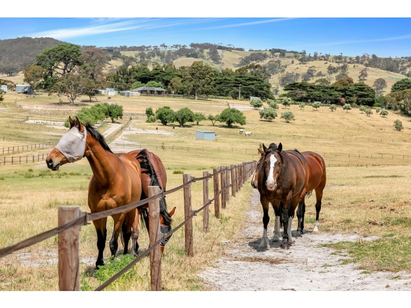 46 Moritz Road, Blewitt Springs SA 5171