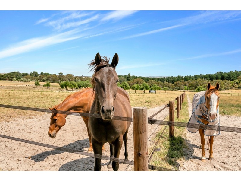 46 Moritz Road, Blewitt Springs SA 5171