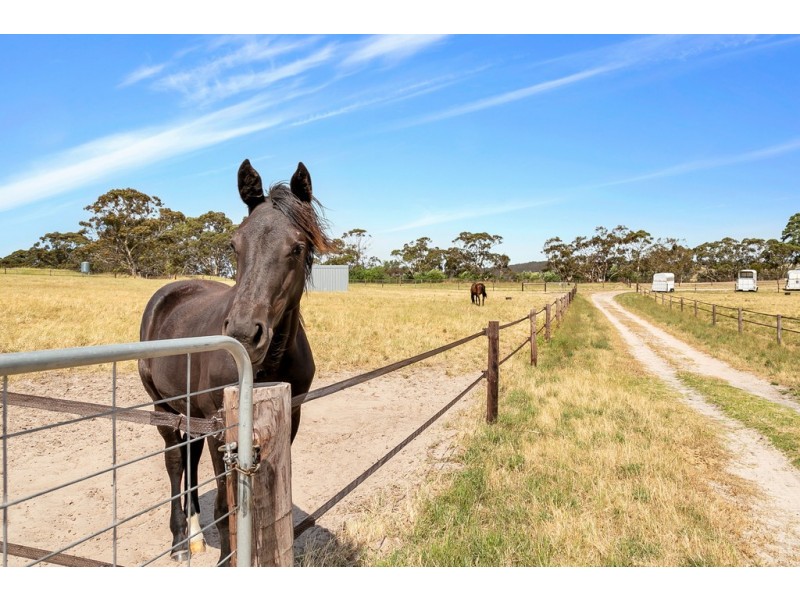 46 Moritz Road, Blewitt Springs SA 5171