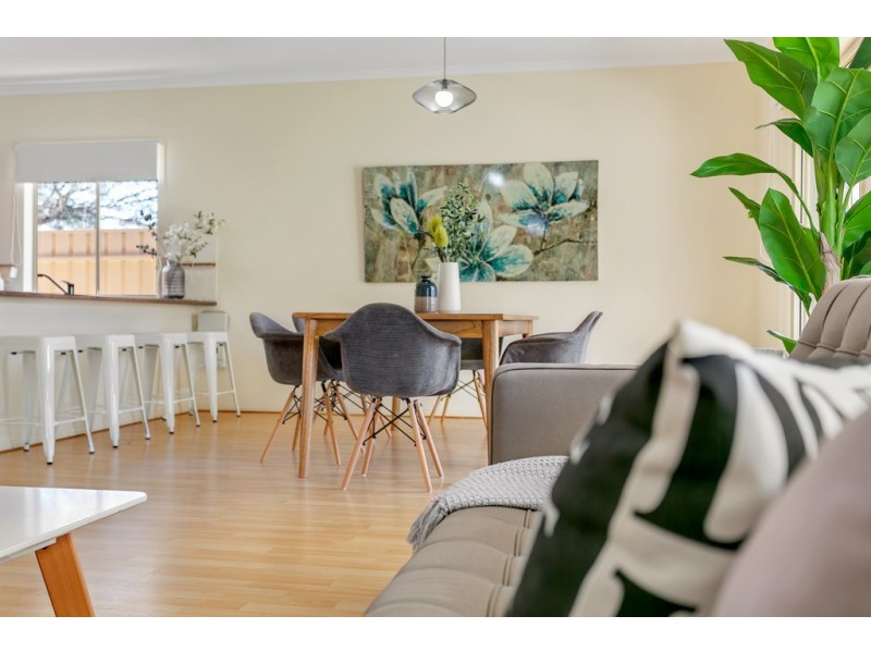 4 Angel Avenue, Seaford SA 5169