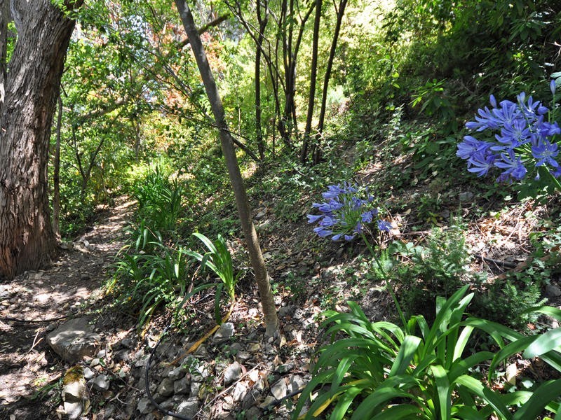 4 Backhouse Ave, Crafers SA 5152